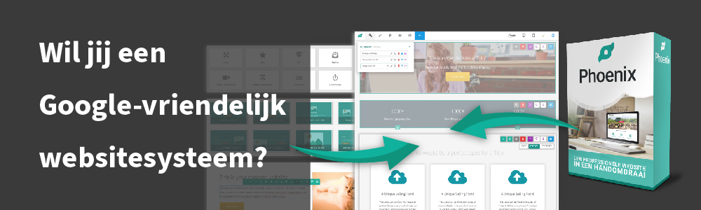 phoenix website software systeem